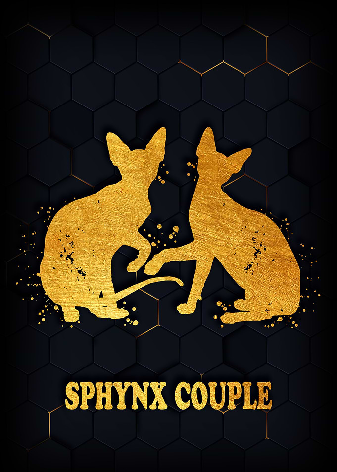 SPHYNX COUPLE