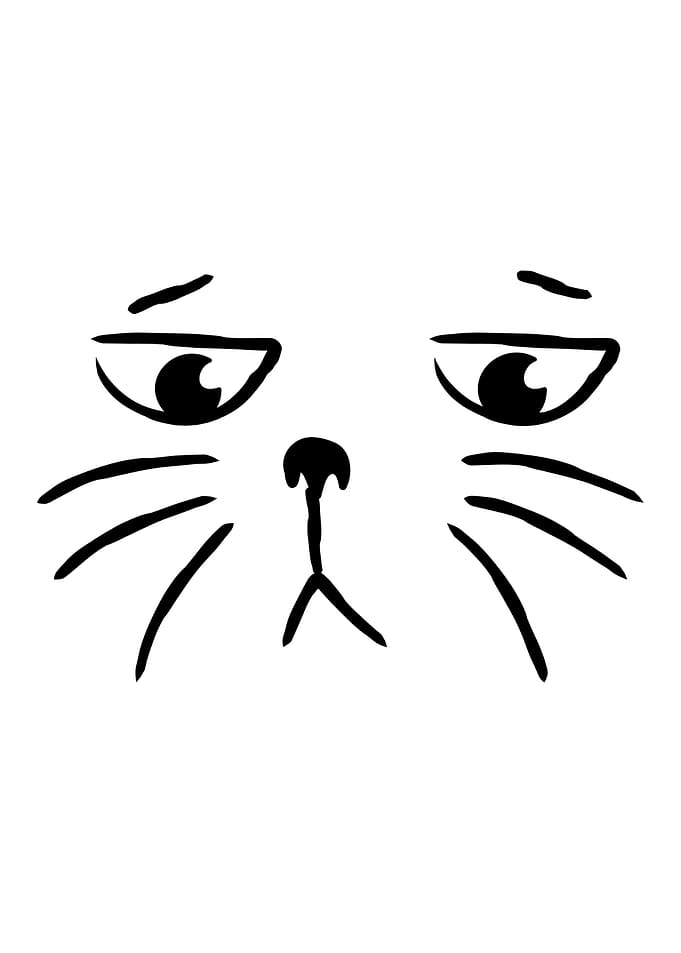 Sad Cat Face