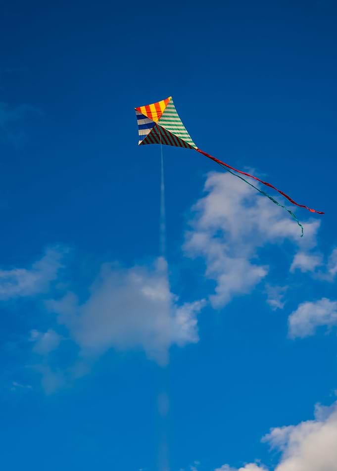 Kite in the blue sky