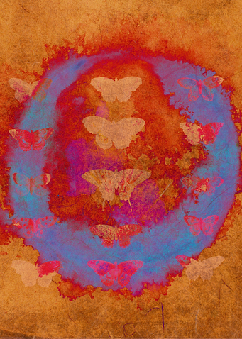 Midsummer Butterflies