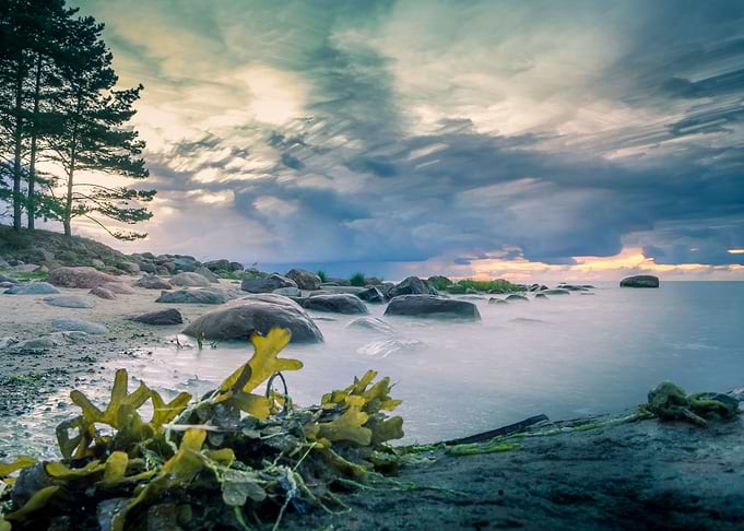 Beautiful coast in Latvia