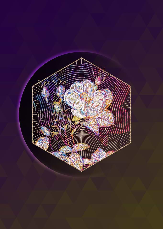 White Rose of York Mosaic
