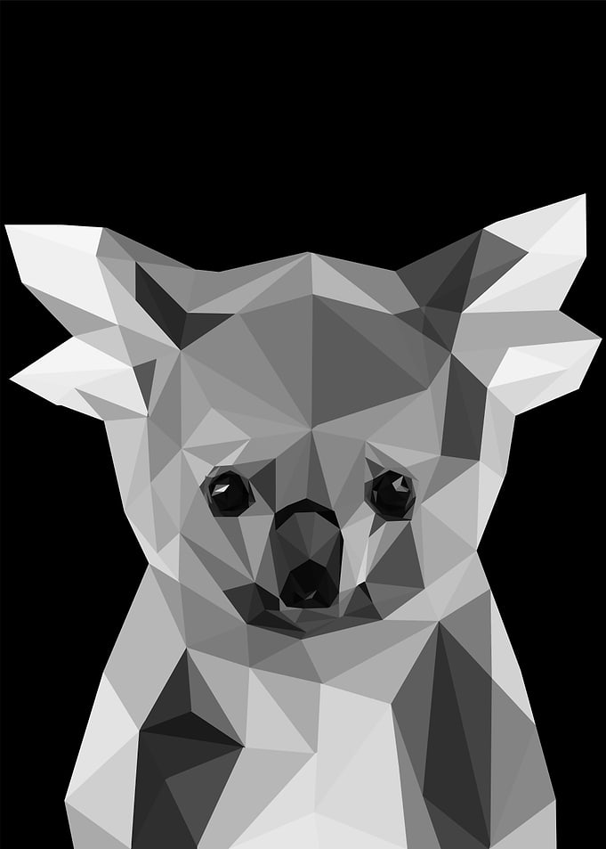 nursery animal baby koala