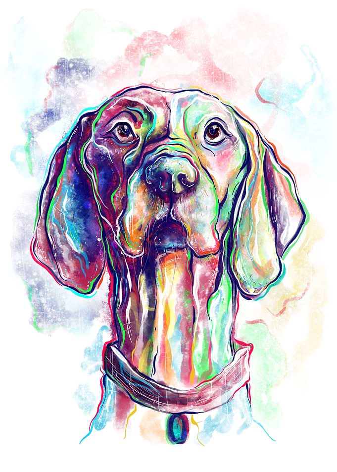 Vivid Dog