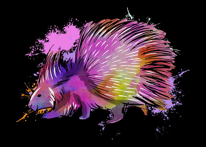 Porcupine