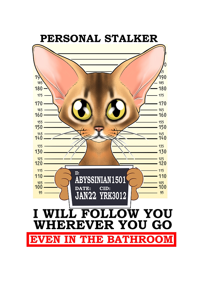 Abyssinian Cat I Cat Lover