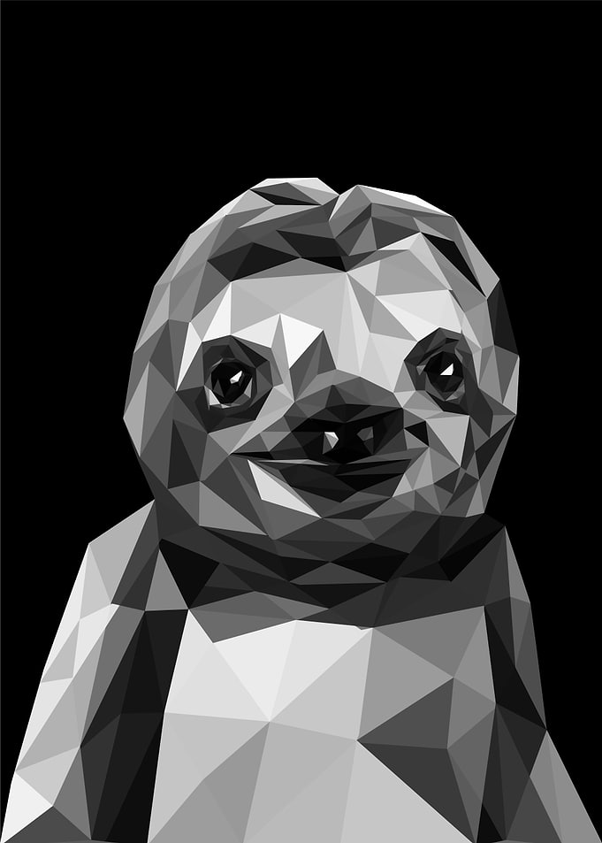 nursery animal sloth