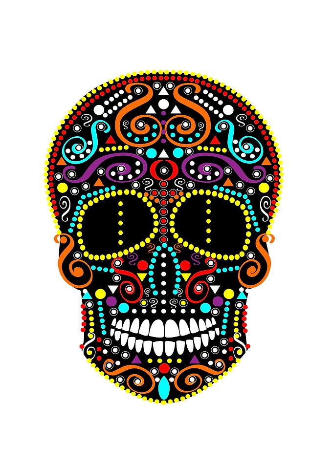 Skull vector background fo