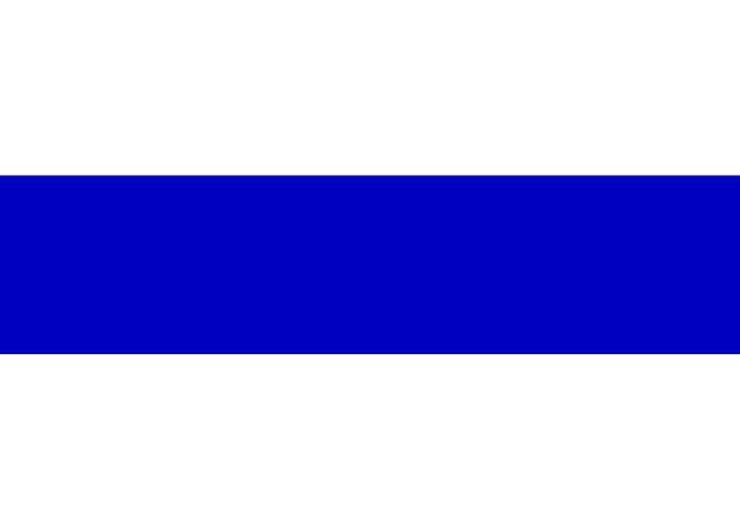 russia anti war flag