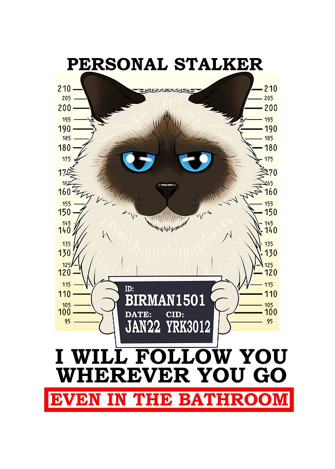 Birman Cat I Cat Lover