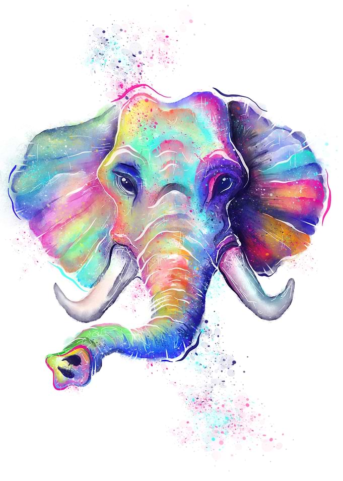 Rainbow Elephant