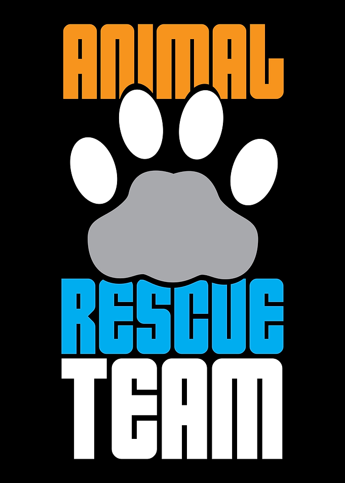 Adopt Adoption Dog Pet Ani