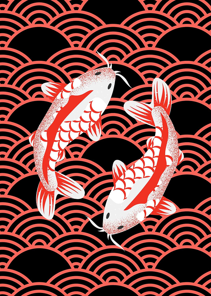 Koi Fish Japan