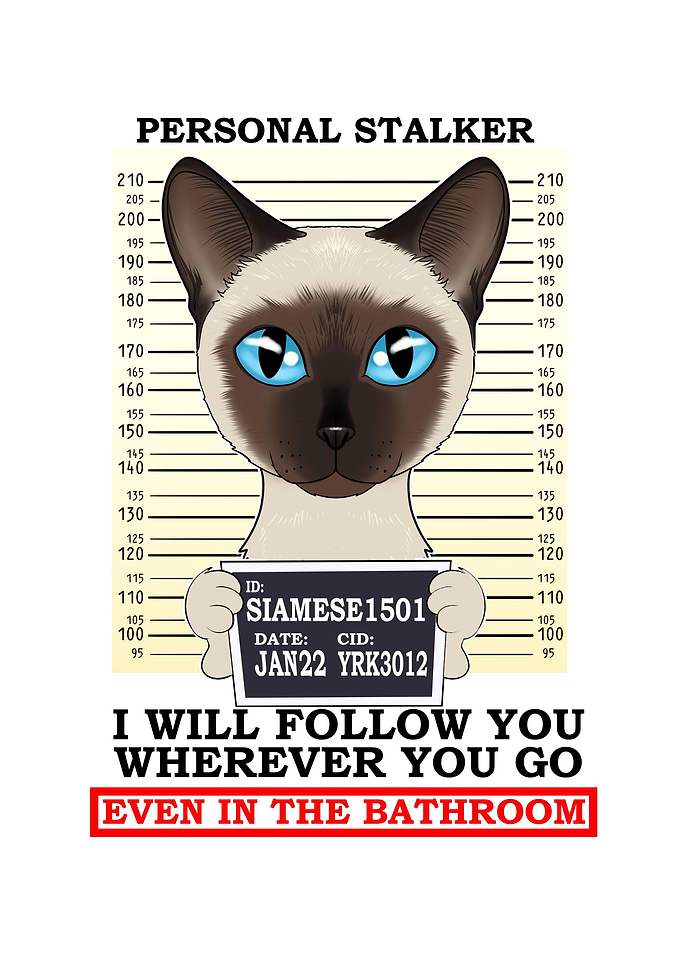 Siamese Cat I Cat Lover