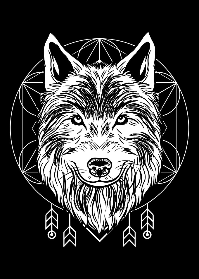 Wolf Wolves
