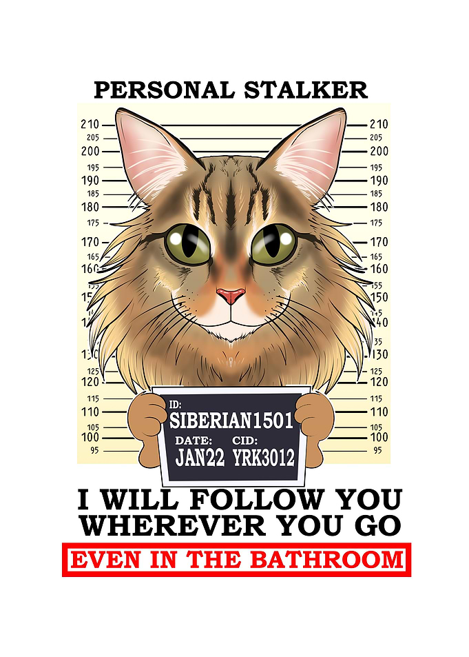 Siberian Cat I Cat Lover