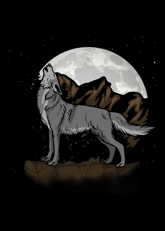 Wolf Wolves