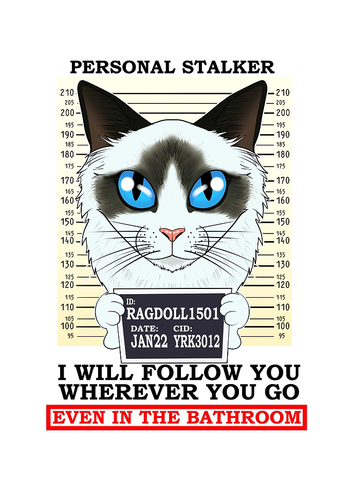 Ragdoll Cat I Cat Lover