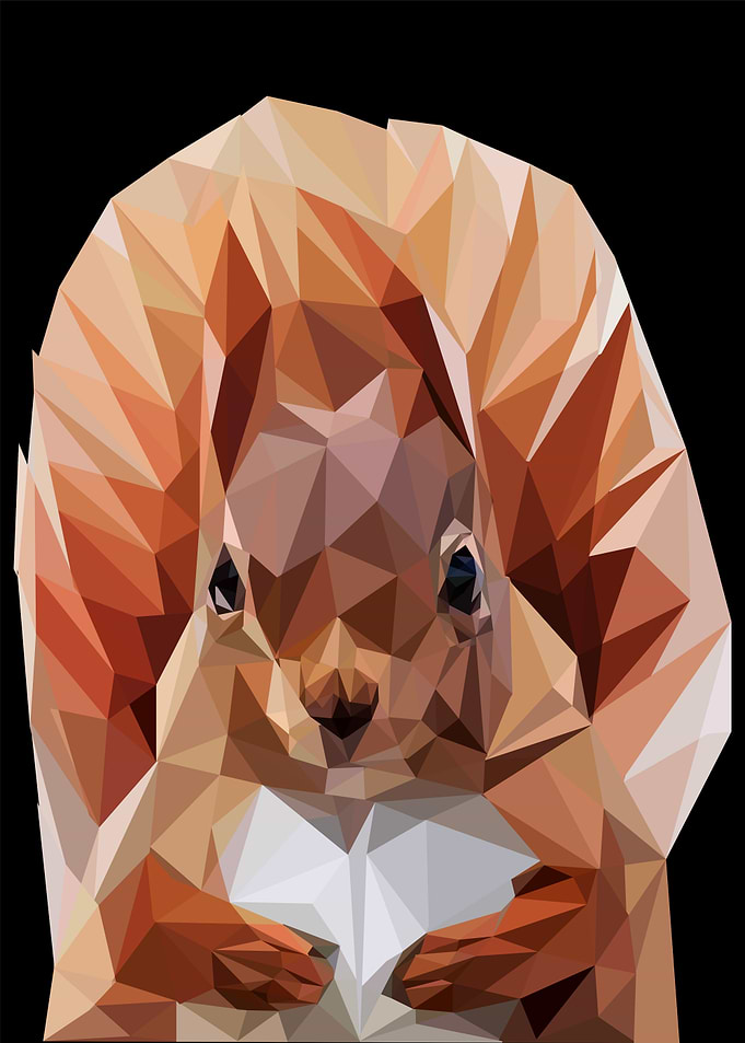 squirrel