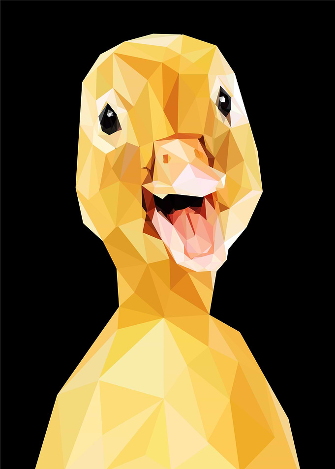 baby duck