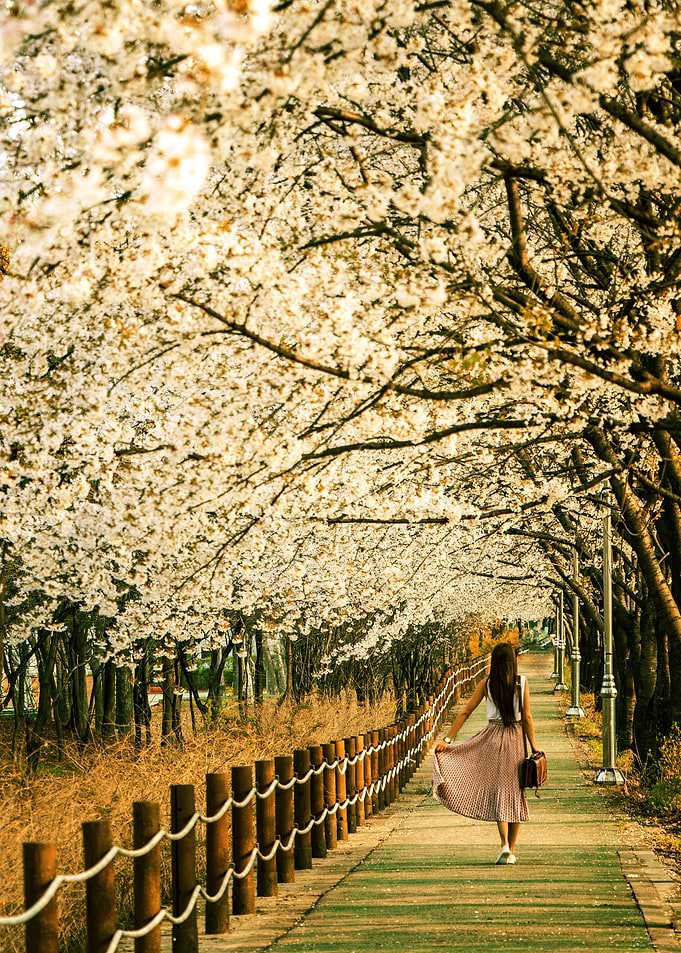 beautiful garden