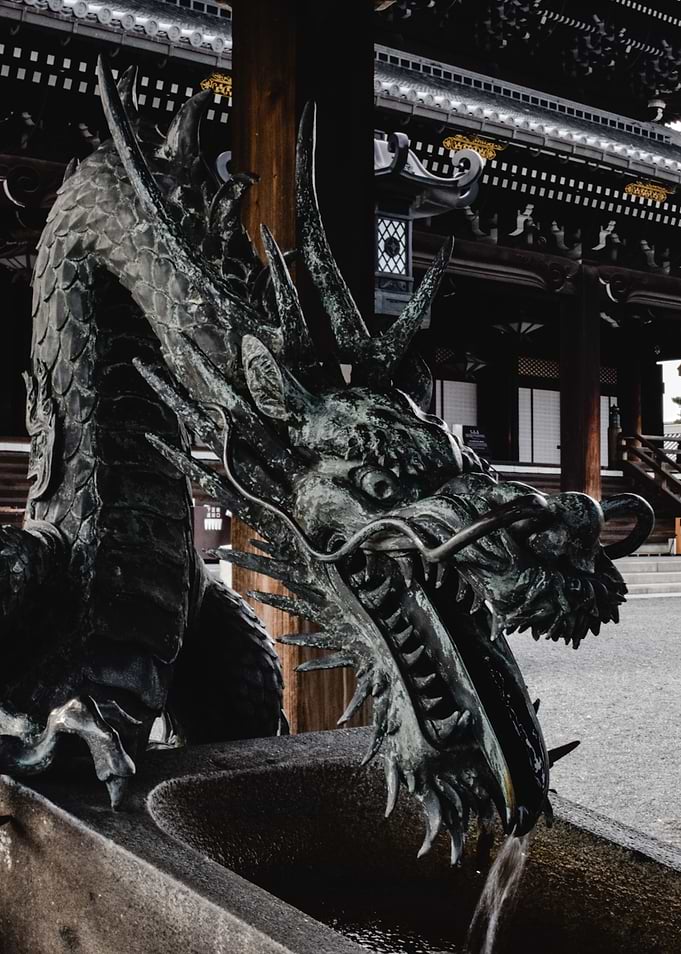 japanese black dragon