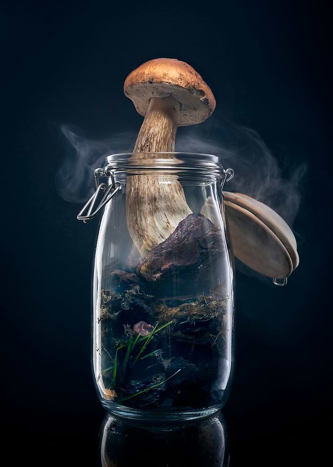 Life in a jar
