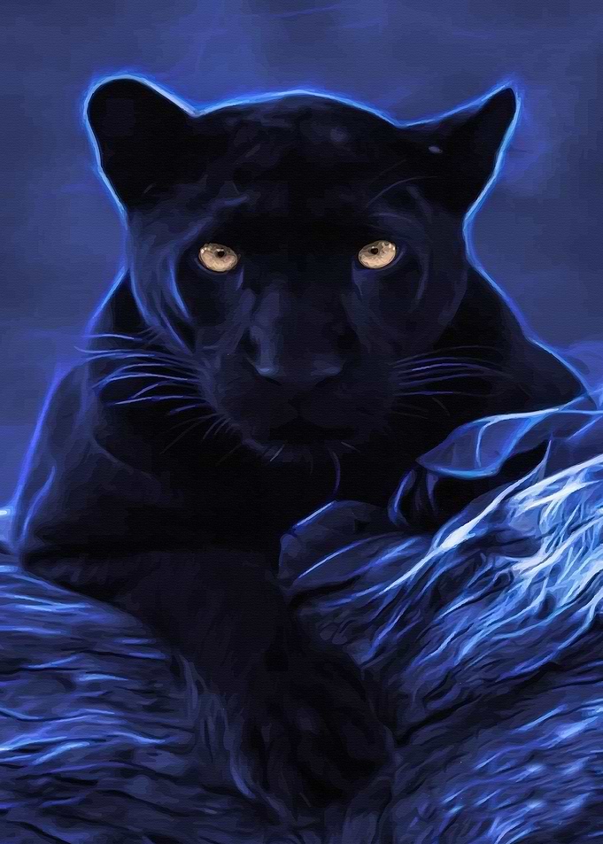 Black Lion