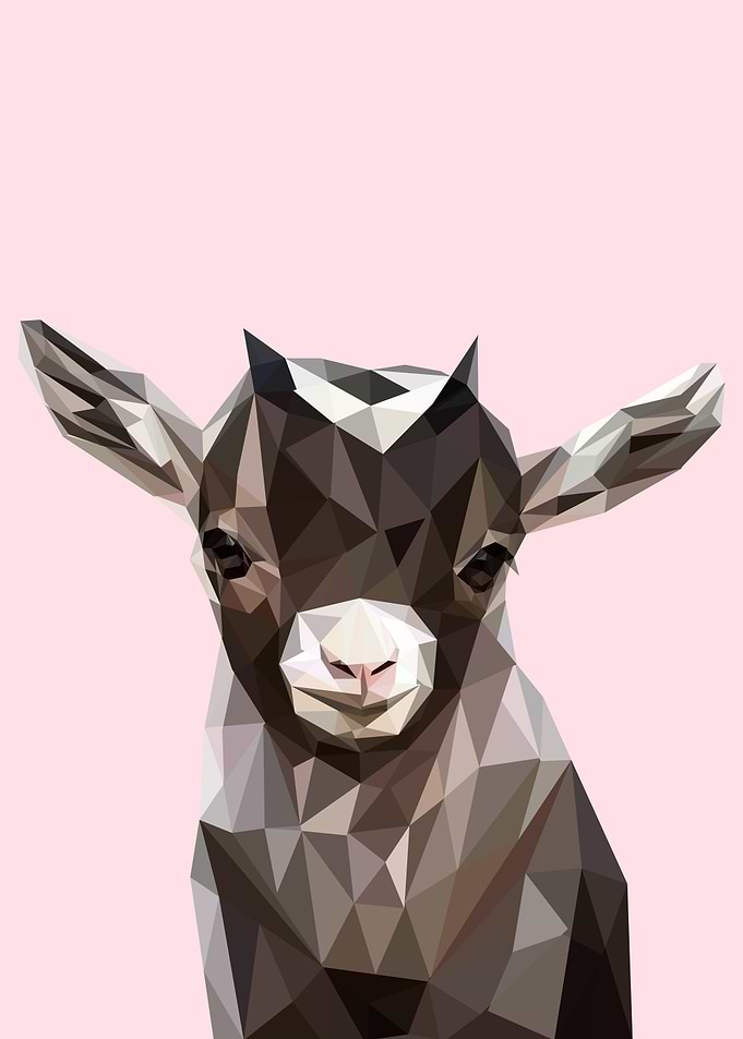 nursery animals baby goat