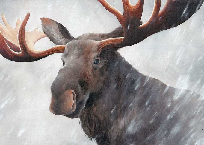 Winter Child