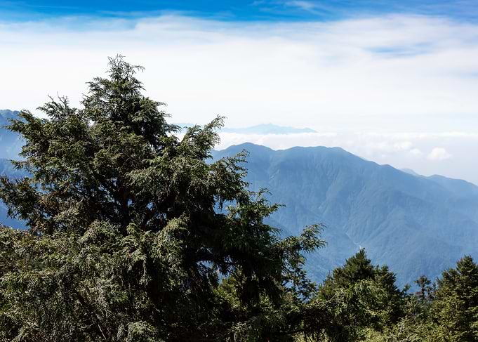 Taiwan Alpine Scenery
