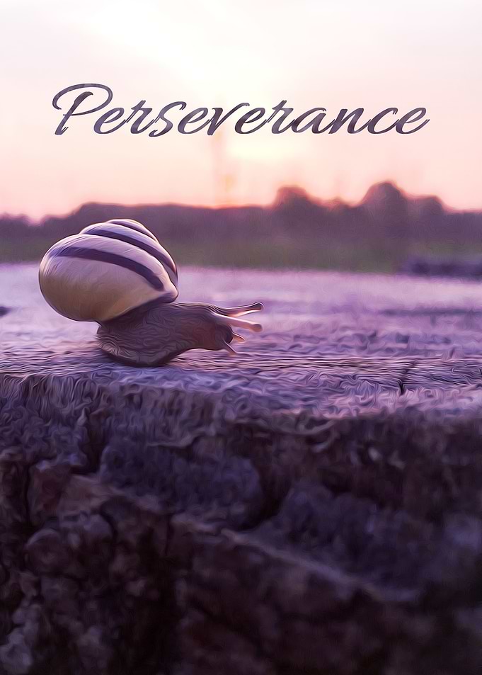 Snail Perseverance