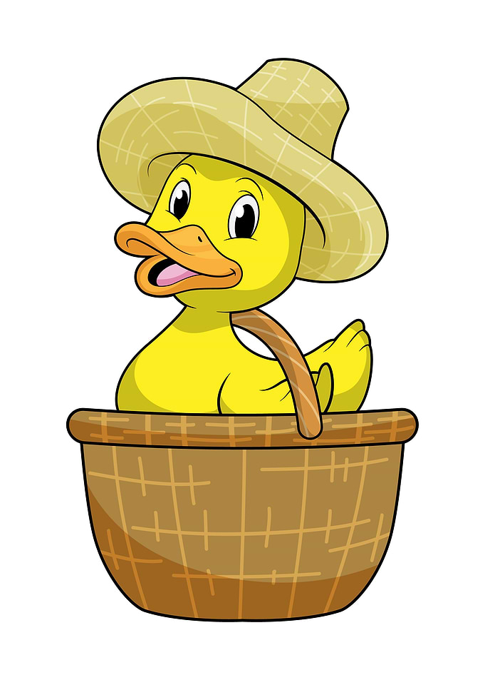 Duck Farmer Basket