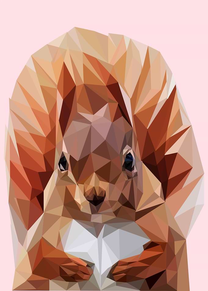 nursery animals squirrel