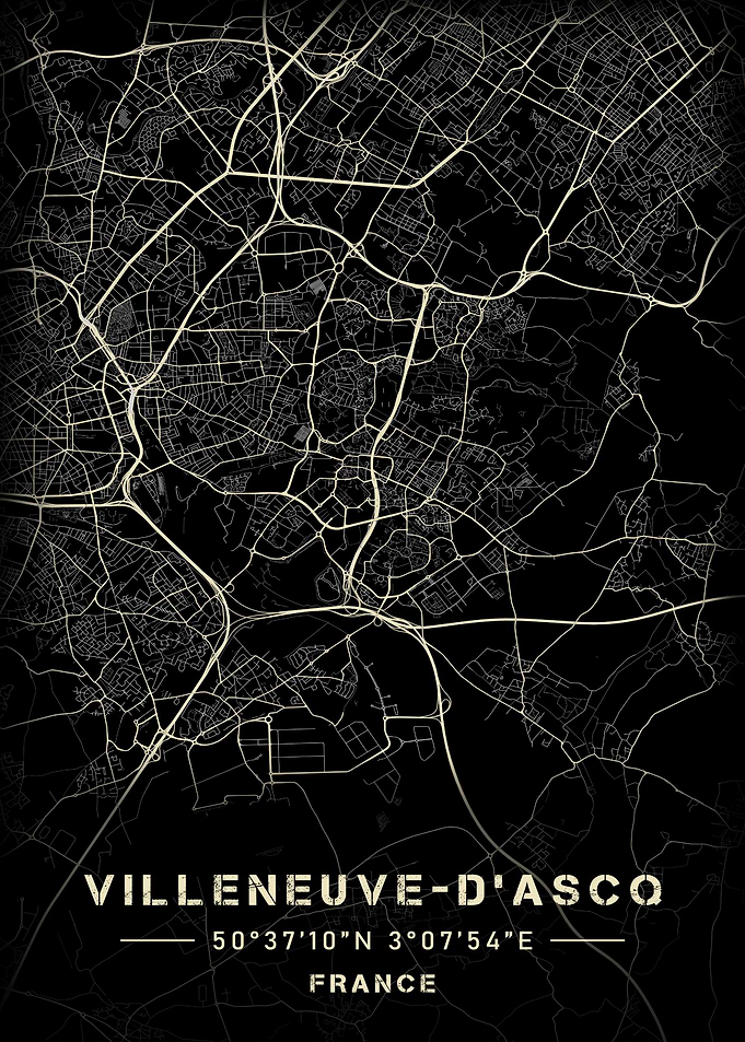 Villeneuve d ascq
