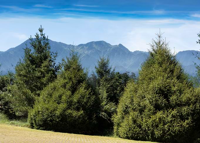 Taiwan Alpine Scenery