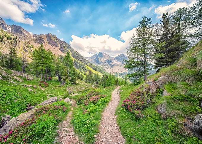 French Alps