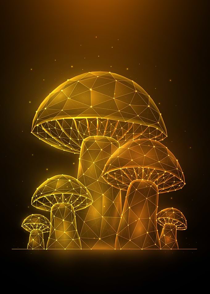 Mushrooms