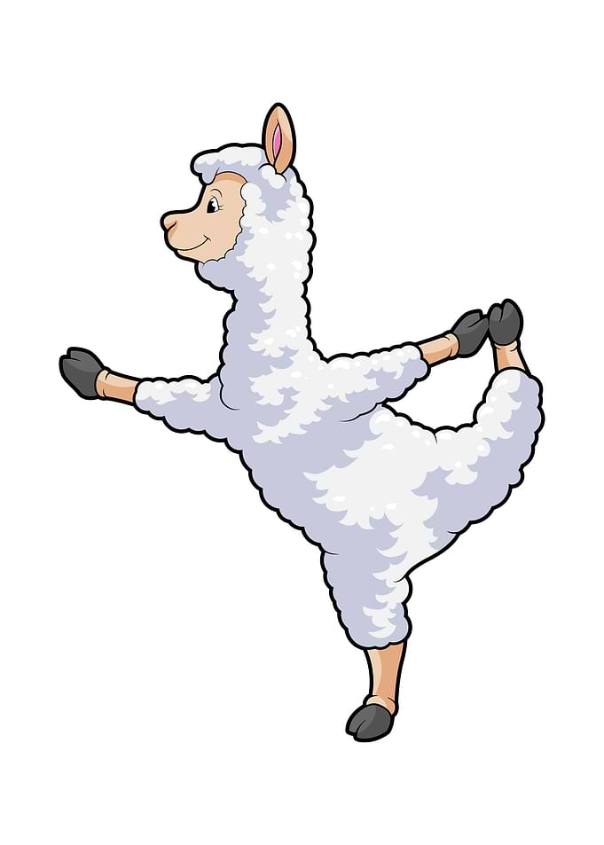 Llama Fitness Stretching