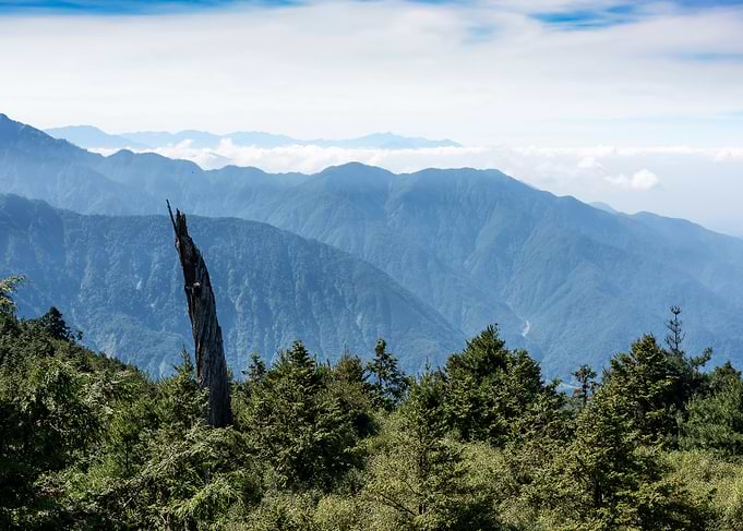 Taiwan Alpine Scenery