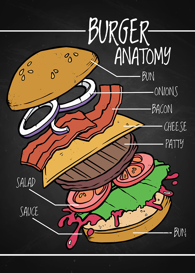 Funny Burger Anatomy Meme