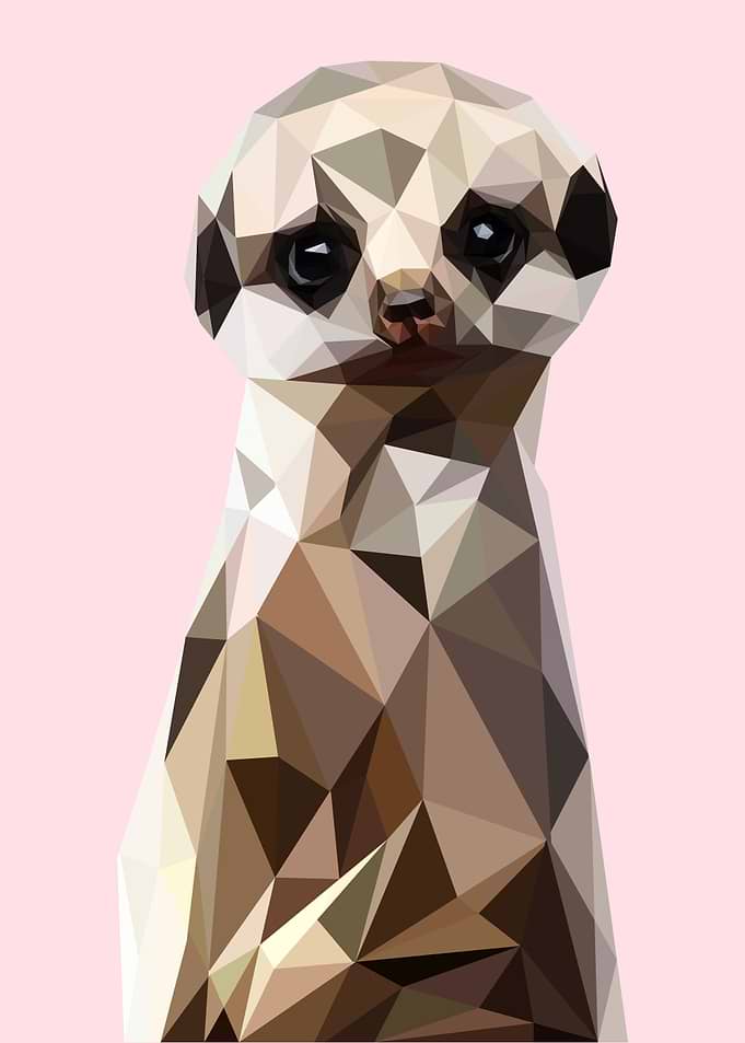 nursery animals meerkat