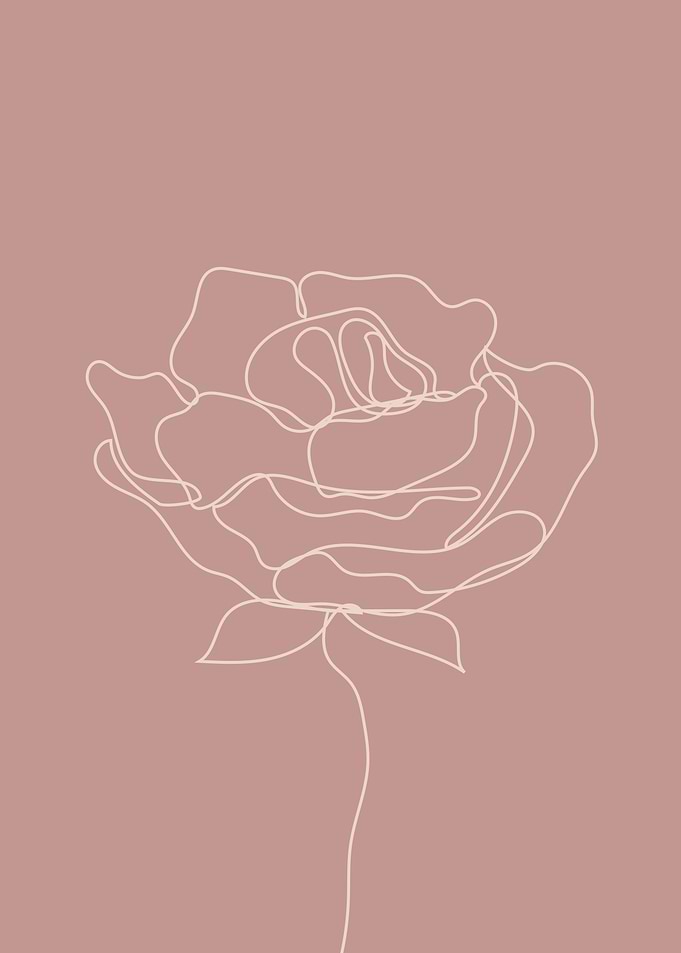 Elegant Rose floral line