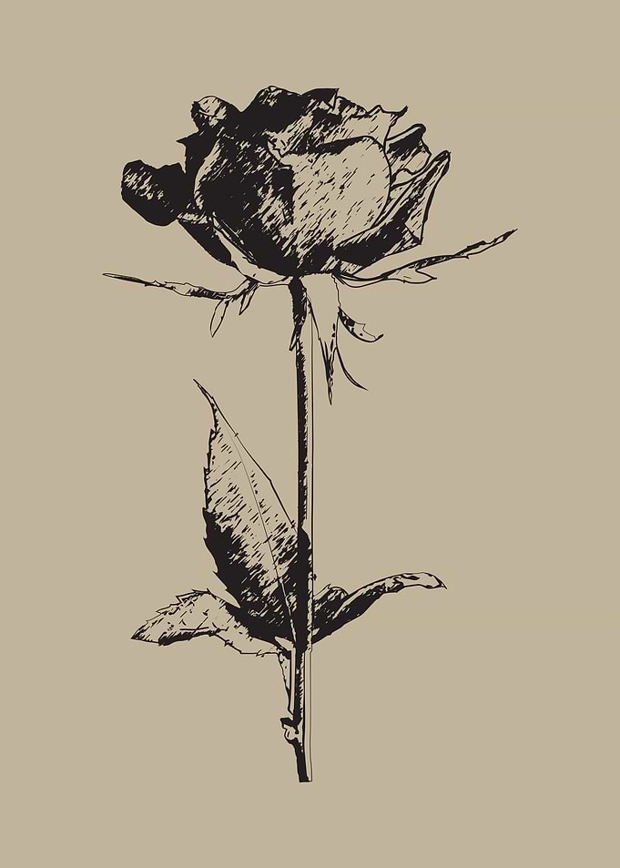 rose