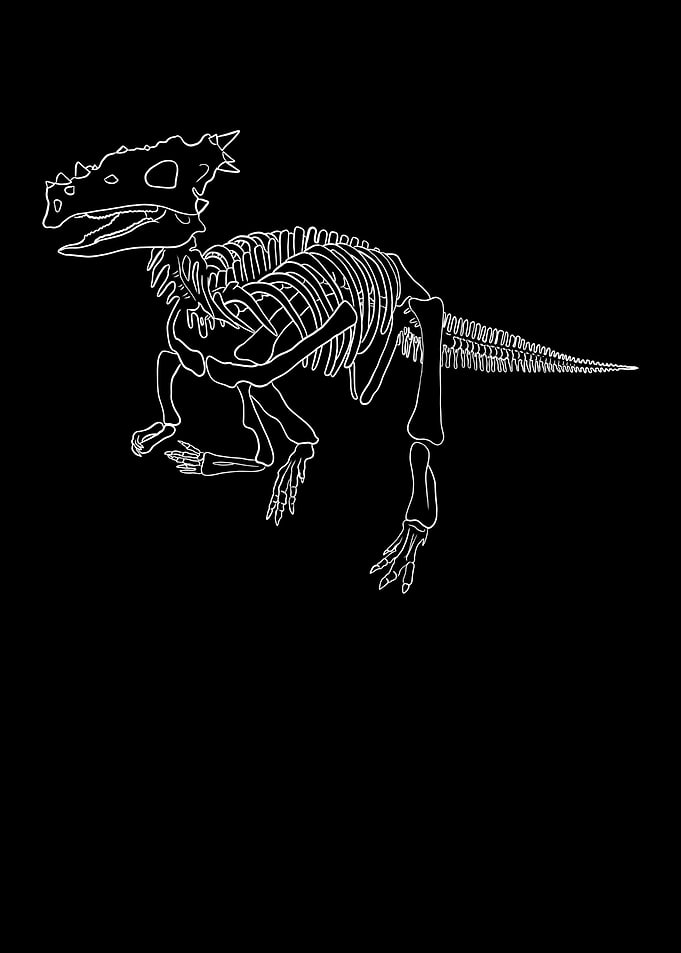 Dinosaurier Dracorex