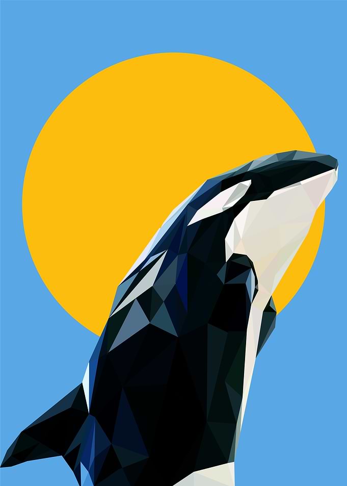 nursery animal whale