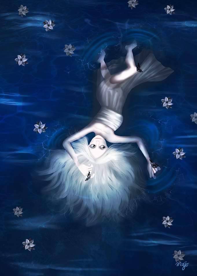 The Surface Of The Water