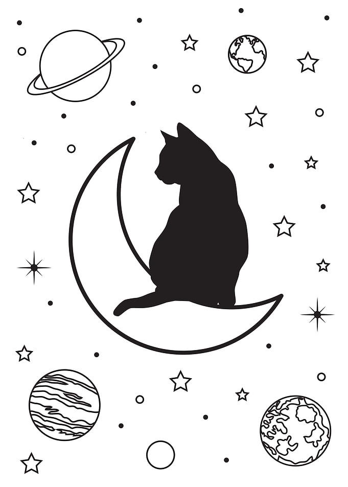 moon cat