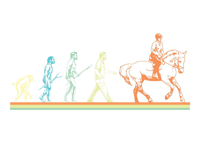 Horse Horseback Riding Pon