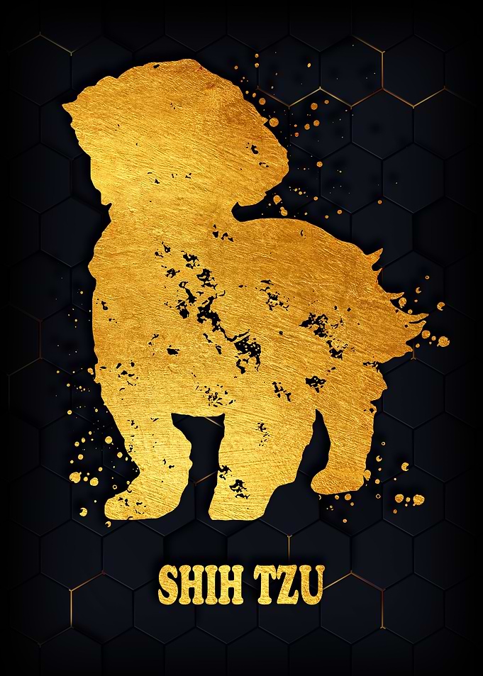SHIH TZU